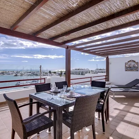 Primula - Wonderful View - Marina